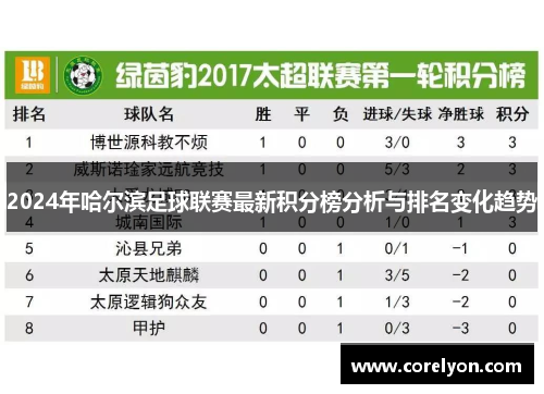 2024年哈尔滨足球联赛最新积分榜分析与排名变化趋势